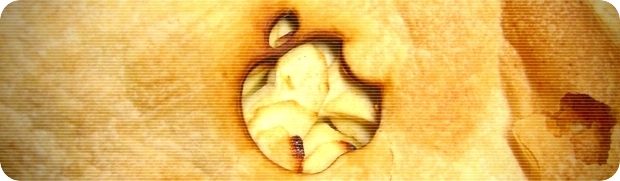 apple_pie