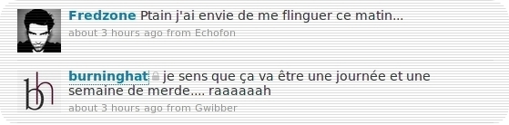 journeedemerde